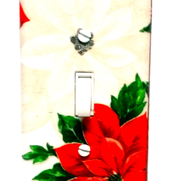 Light Switch Cover - Picture 3 of 4